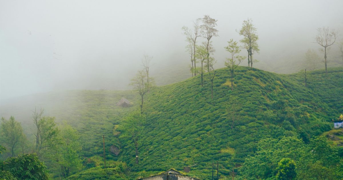 Hidden Hill Stations in South India
