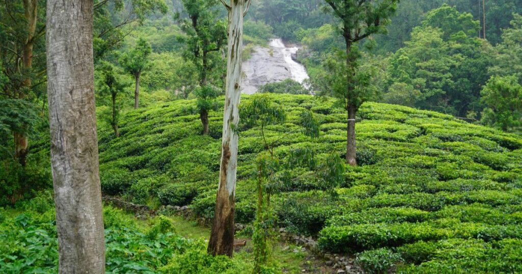 Hidden Hill Stations in South India