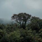 Packing List for Monsoon Trip India - Keralam Chronicles