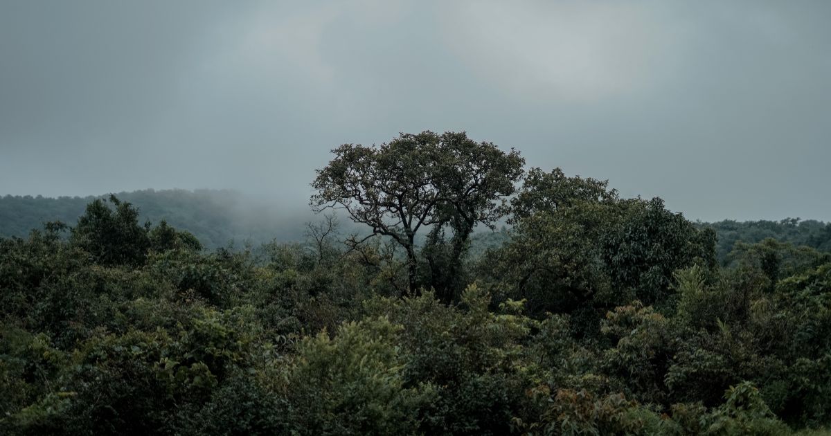 Packing List for Monsoon Trip India